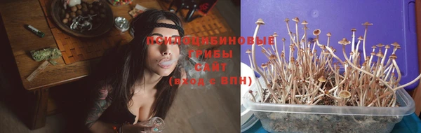 гидропоника Богданович