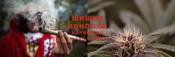 гидропоника Богданович