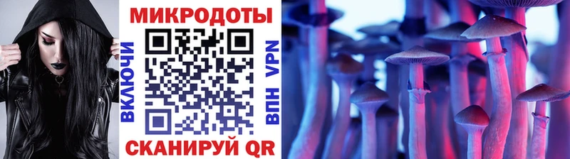 Галлюциногенные грибы MAGIC MUSHROOMS  купить наркоту  Вяземский 